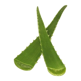 Bougie "la Beslonaise" ALOE VERA