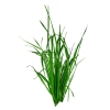 Bougie "la Beslonaise" VETIVER