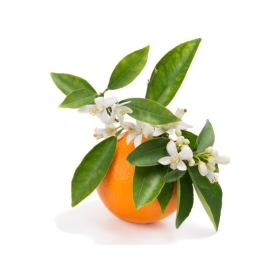 Bougie "la Beslonaise" FLEUR D'ORANGER