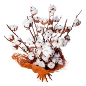 Bougie "la Beslonaise" FLEUR DE COTON