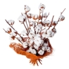 Bougie "la Beslonaise" FLEUR DE COTON