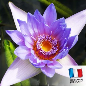Bougie "la parfumée" mélange de fleurs exotiques