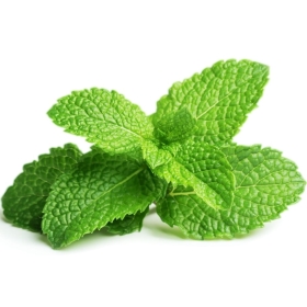 Bougie "la parfumée" menthe