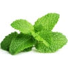 Bougie "la parfumée" menthe