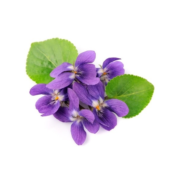 Bougie "la parfumée" violette