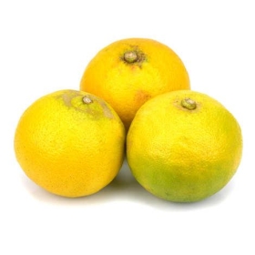 Bougie "la parfumée" bergamote