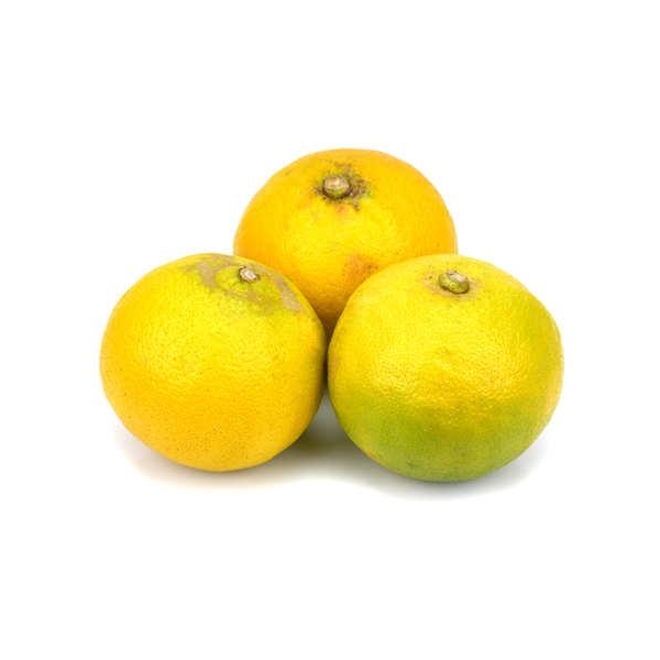 Bougie "la parfumée" bergamote